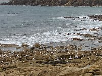 IMG 20211112 140733