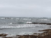 IMG 20211113 115449