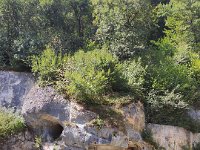 IMG 20210901 133526