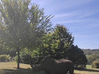 IMG 20210901 151819