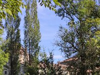 IMG 20210901 165508
